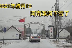 2021年腊月十九河南漯河下雪，看看农村的雪景，白茫茫的真美视频封面