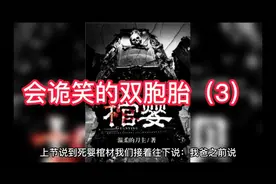 会诡笑的双胞胎（3）视频封面