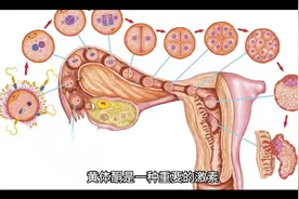 黄体酮对女性的重要性视频封面