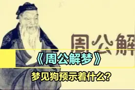 你有经常会梦到狗吗？看看《周公解梦》怎么说…视频封面