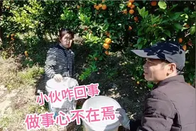 广西小伙采沙糖桔心不在焉，二妹看他就生气！咋回事视频封面