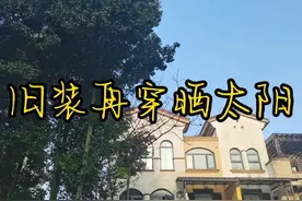 旧装再穿晒太阳视频封面