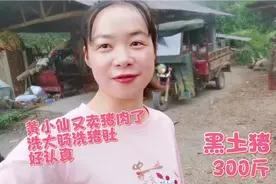 湖南美女黄小仙卖黑土猪肉，帮洗大肠，客户说肥肠不要洗太干净了视频封面