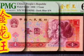 801金龙王，独特的惊艳荧光视频封面