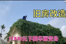 富商只花费1000元，改造清理荒废20余年老宅，成果感叹：钱花太值视频封面