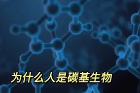 为什么人是碳基生物视频封面