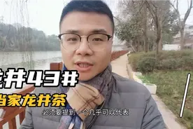 龙井茶的当家茶树品种：龙井43号。太多人追捧，市场鱼龙混杂！视频封面