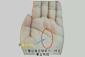 双重事业线，事业注定有所成视频封面