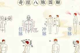 奇经八脉图解——身体上面的主要经络位置信息汇总。视频封面