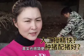 女人就可完成高科技人工授精，只要技巧掌握好生的小猪仔一样多视频封面
