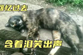 我每天都很累但也要给大家带来些开心温馨的画面 回忆最初的美好视频封面