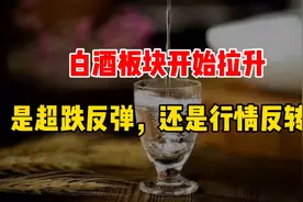 9.19复盘：白酒板块开始拉升，是超跌反弹，还是行情反转？视频封面