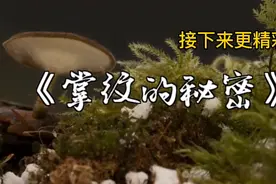 民间奇闻铁事，秘密的掌纹2。欢迎各位收看收听！
