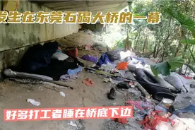 不知道为什么，在东莞打工好多人都租不起房子，睡在桥底下面视频封面