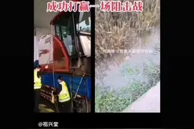 粮食是什么？是国家基石，是国人饭碗，是乱世黄金，是御敌利剑。视频封面