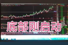 选出五只底部刚启动不久的优质股票长线持有