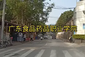 广东食品药品职业学院，路边都是小吃。视频封面