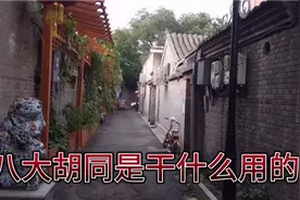 看看北京的胡同四合院，租一间要多少钱啊！哦，还可以不算贵。视频封面