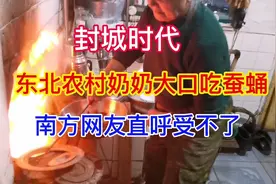 南方人厌恶的蚕蛹是东北人餐桌的美食，东北农村奶奶这做法真绝视频封面