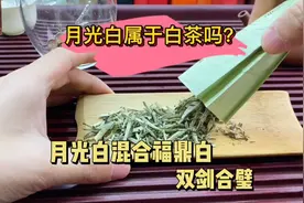 云南白茶是白茶吗？普洱不疼白茶不爱的月光白，喝起来还挺有特点视频封面