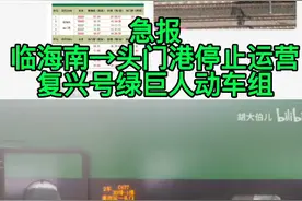 “台”突然！金台铁路临海南→头门港11日起停止运营复兴号动车视频封面