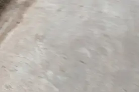 你们看就是这个蓝色衣服的男孩视频封面