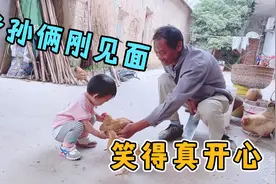 公公一个多月没见孙女，一见面就拿出一个宠物，小孙女开心地大叫视频封面