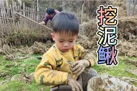 农村父子俩去挖泥鳅，小汤圆瞬间变成了泥娃娃，弄得三嫂哭笑不得视频封面