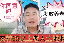 安徽阜阳：收回农村65岁以上老人的土地发放养老金，你同意吗视频封面