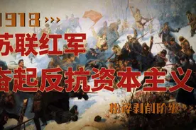 1918！苏俄内战概况！平息内乱，捍卫社会主义政权！(下)视频封面