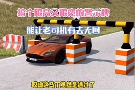 搞个限高又限宽的警示牌，能让老司机有去无回？视频封面