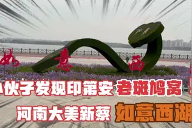 河南大美新蔡，小伙子发现“印第安”老斑鸠窝，如意西湖！视频封面
