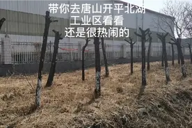 一起看看唐山开平区的北湖工业园区，还是挺热闹的！视频封面