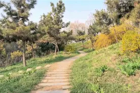 放慢生活的脚步，春天最美的风景就在眼前，伴你幸福平安视频封面