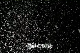 突然明白一个道理，别掏心掏肺的对一个人好，最后受伤的是自己！视频封面