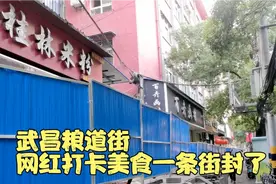 武昌粮道街9点还一切正常，16点整条网红打卡美食街封了，太难了视频封面