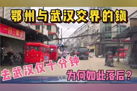 鄂州与武汉交界处有个镇，距离武汉仅十分钟车程，为何发展不起来视频封面