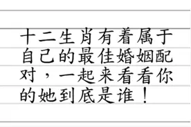 民间常用的十二生肖属相婚配，是前人的经验总结，喜欢的看看视频封面