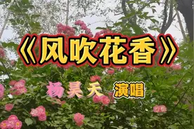 一首甜甜的歌，听了让人心情舒畅，感到开心快乐！视频封面