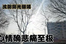 沈阳9岁男孩结局令人痛心 同为人父 到底是孩子 父母 谁的错？视频封面