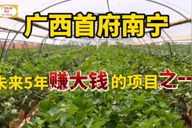 广东打工不如在家投资|首府南宁5年内最赚大钱的项目，比打工强多视频封面
