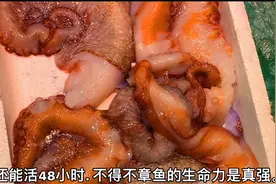 冲浪路过海鲜市场，看到被割掉身体的章鱼居然还能继续活48小时视频封面