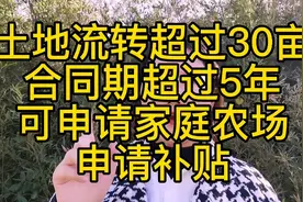 抓紧时间看看有没有符合条件的，一旦申请成功可向政府申领补贴视频封面