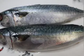 胶东大厨分享“鲐鲅鱼炖小白菜”的做法，详细易学美味，果断收藏