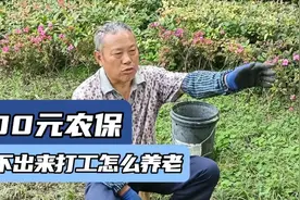 65岁苏北大爷：农民每月200元农保，不出来打工怎么养老？视频封面