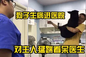 养了8年的毛孩子尾巴长了个瘤子 去医院看病始终不配合 看呆医生视频封面