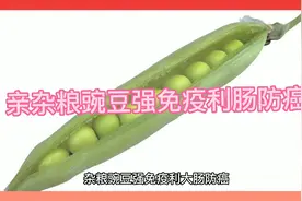 家人恭喜发财杂粮豌豆强免疫防癌治癌通利大肠身体健康视频封面