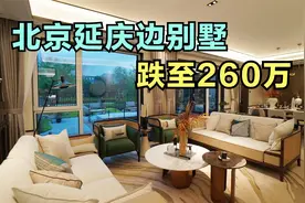 北京延庆楼市惨淡，占地一亩宽别墅仅200多万，地产泡沫已经挤干视频封面