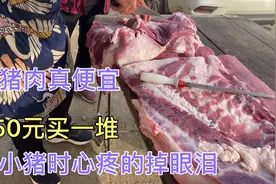 猪肉才7.5元/斤，大猪小猪的价格都不忍说出口，卖仔猪卖的痛哭流视频封面