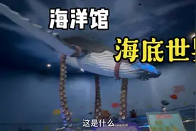 海底世界的鱼种类繁多，您认识多少视频封面